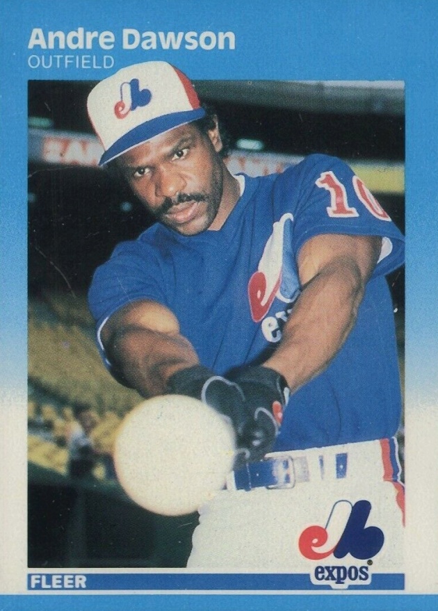 1987 Fleer Glossy Andre Dawson #316 Baseball Card