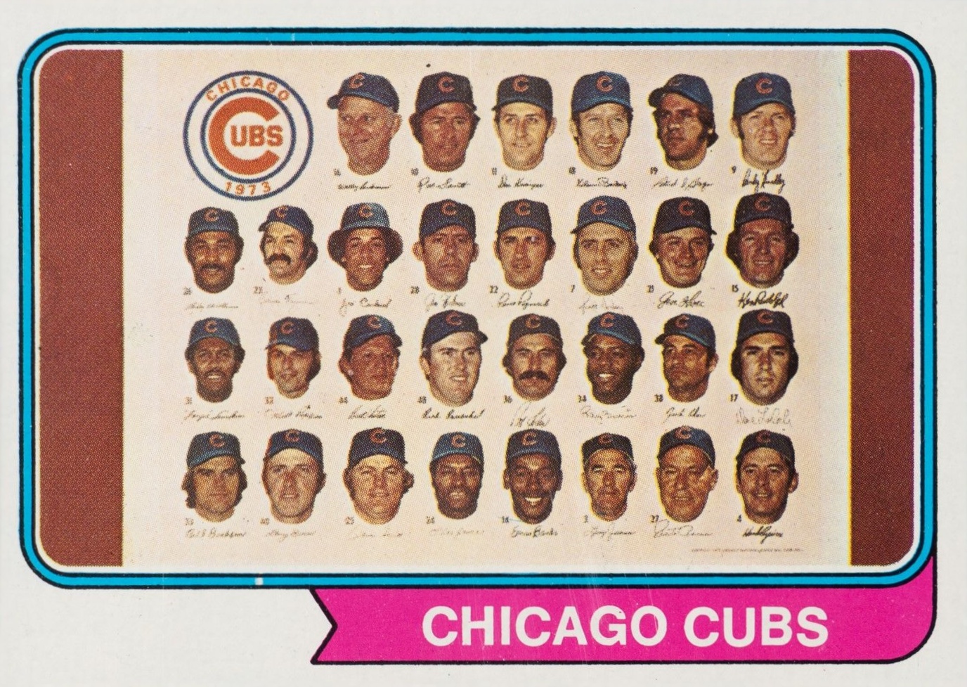 1974 Topps Chicago Cubs #211 Baseball Card
