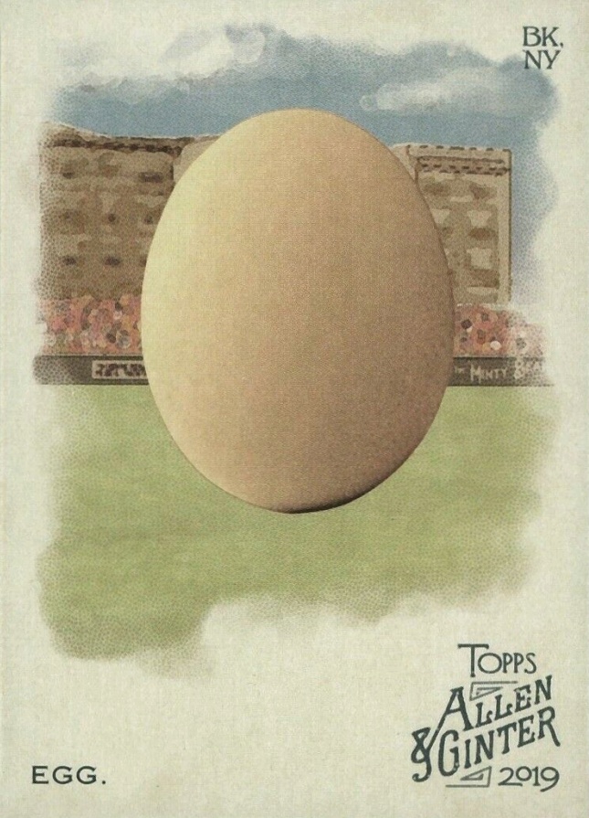 2019 Topps Allen & Ginter Egg #213 Non-Sports Card