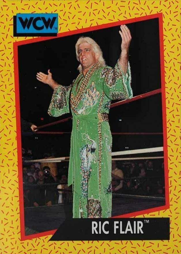 1991 Impel WCW Wrestling Ric Flair #45 Other Sports Card