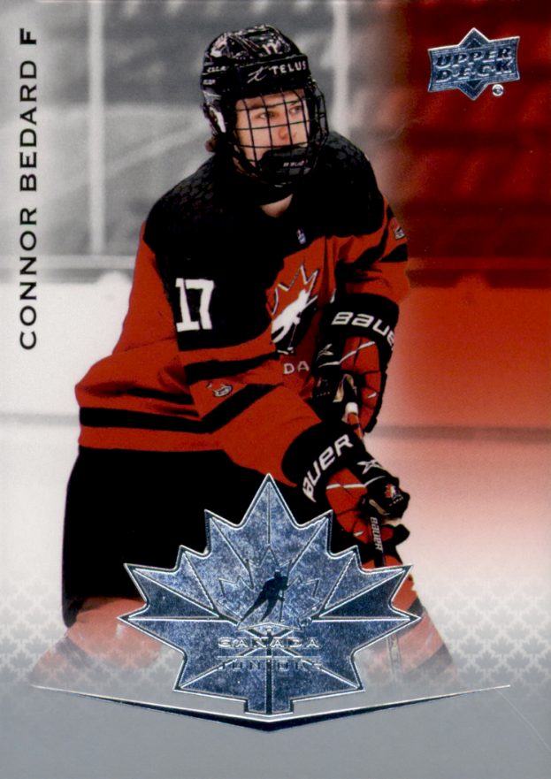  Sidney Crosby Rookie Card 2005-06 UD McDonald's #51
