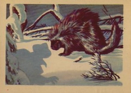 1956 Adventure The Porcupine #2 Non-Sports Card