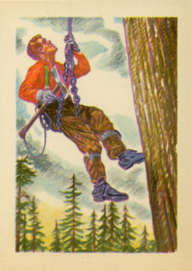 1956 Adventure In the great Northwest #74 Non-Sports Card