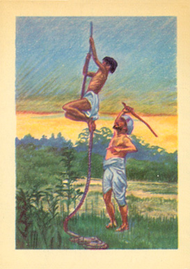 1956 Adventure Indian Rope Trick #3 Non-Sports Card