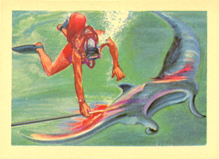 1956 Adventure Devilfish and Child's Play #17 Non-Sports Card
