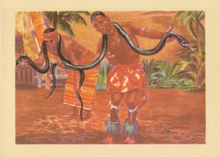 1956 Adventure Ivory Coast snake dance #15 Non-Sports Card
