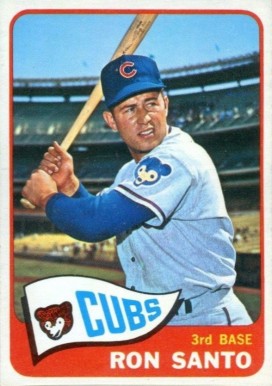 1965 O-Pee-Chee Ron Santo #110 Baseball Card