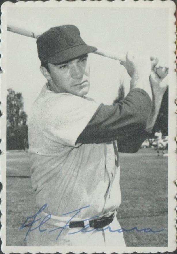 1969 Topps Deckle Edge Al Ferrara #30 Baseball Card