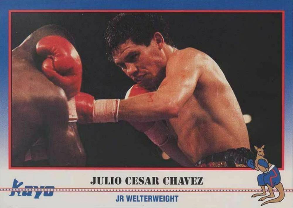 1991 KAYO BOXING TRADING CARDS Your Choice LEONARD Foreman CHAVEZ Hagler LOUIS+