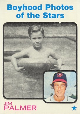 1973 Topps Jim Palmer #341 Baseball Card