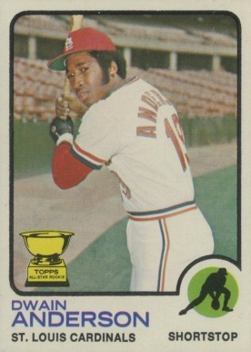 1973 Topps Dwain Anderson #241 Baseball Card