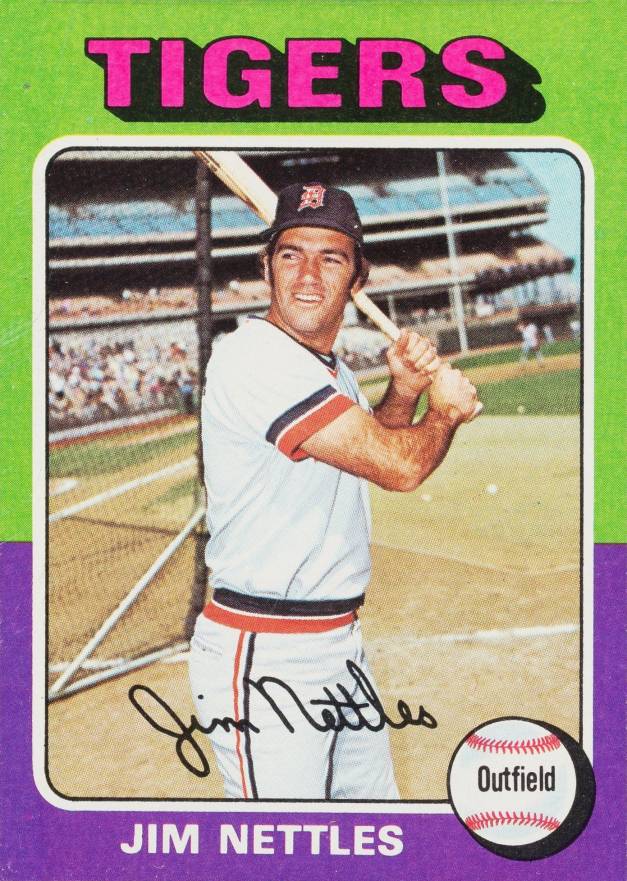 1975 Topps Jim Nettles #497 Baseball Card