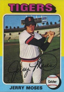 1975 Topps Jerry Moses #271 Baseball Card