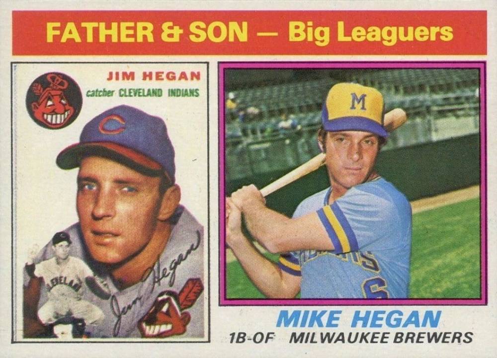 1976 Topps Father & Son Hegan #69 Baseball Card