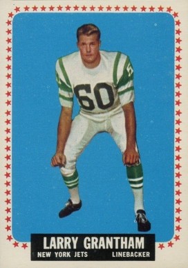 1964 Topps Larry Grantham #113 Football Card