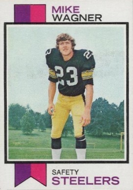 1973 Topps Mike Wagner #246 Football Card