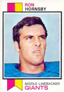 1973 Topps Ron Hornsby #256 Football Card