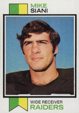 1973 Topps Mike Siani #101 Football Card
