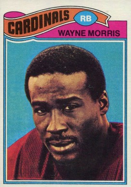 1977 Topps Wayne Morris #141 Football Card