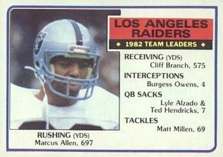 1983 Topps Raiders Team Leaders #293 Football Card