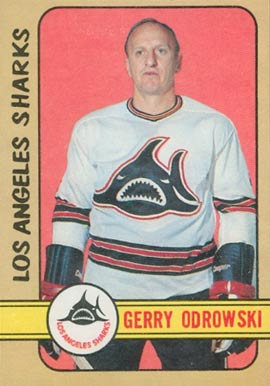 1972 O-Pee-Chee Gerry Odrowski #304 Hockey Card