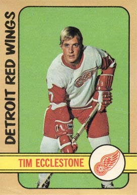 1972 O-Pee-Chee Tim Ecclestone #55 Hockey Card