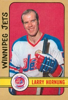 1972 O-Pee-Chee Larry Hornung #317 Hockey Card