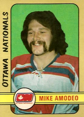 1972 O-Pee-Chee Mike Amodeo #291 Hockey Card