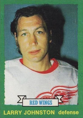 1973 O-Pee-Chee Larry Johnston #251 Hockey Card