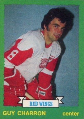 1973 O-Pee-Chee Guy Charron #220 Hockey Card