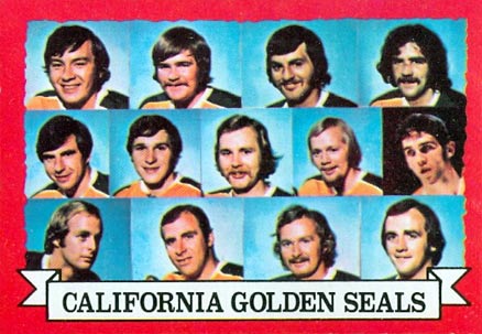 1973 O-Pee-Chee Golden Seals Team #95 Hockey Card