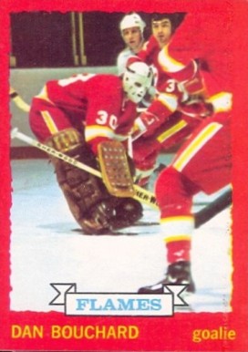 1973 O-Pee-Chee Dan Bouchard #45 Hockey Card