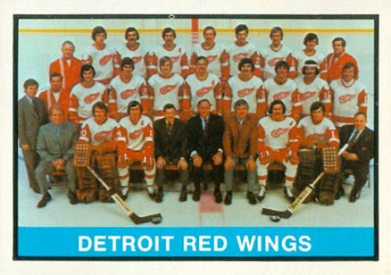 1974 O-Pee-Chee Detroit Red Wings #267 Hockey Card