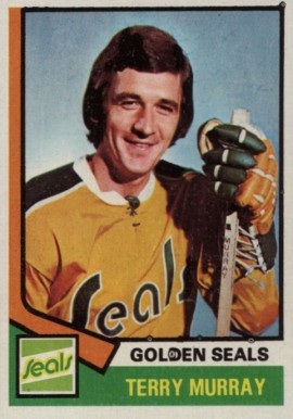 1974 Topps Terry Murray #126 Hockey Card