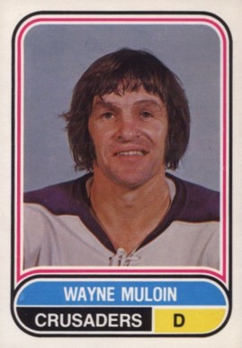 1975 O-Pee-Chee WHA Wayne Muloin #102 Hockey Card