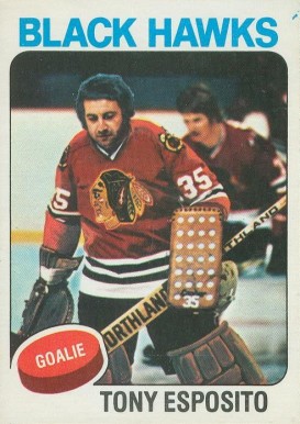 1975 O-Pee-Chee Tony Esposito #240 Hockey Card