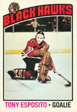 1976 O-Pee-Chee Tony Esposito #100 Hockey Card