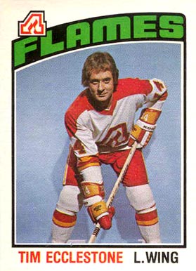 1976 O-Pee-Chee Tim Ecclestone #351 Hockey Card