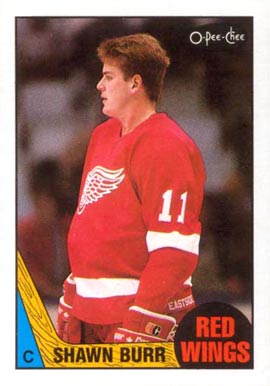 1987 O-Pee-Chee Shawn Burr #164 Hockey Card