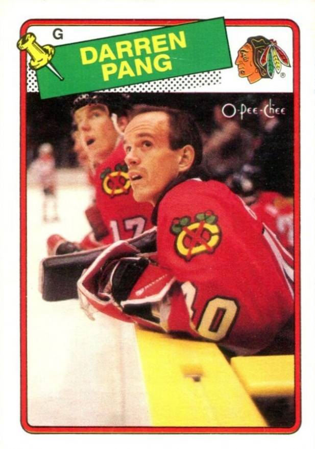 1988 O-Pee-Chee Darren Pang #51 Hockey Card