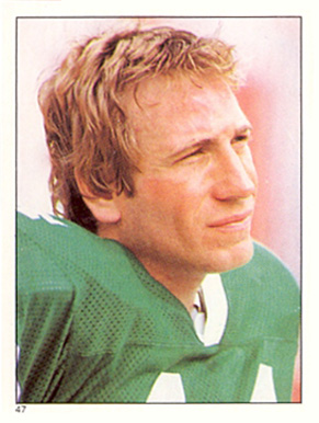 1981 Topps Stickers Richard Todd #47 Football Card