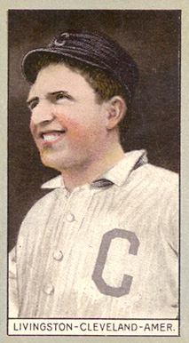 1912 Brown Backgrounds Broadleaf Paddy Livingston #109 Baseball Card