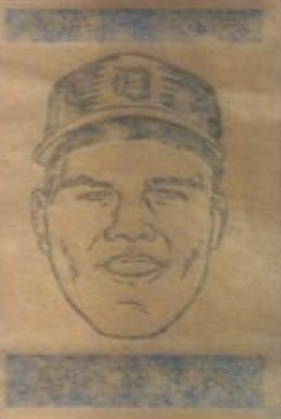 1965 Topps Transfers Bill Freehan #23 Baseball Card