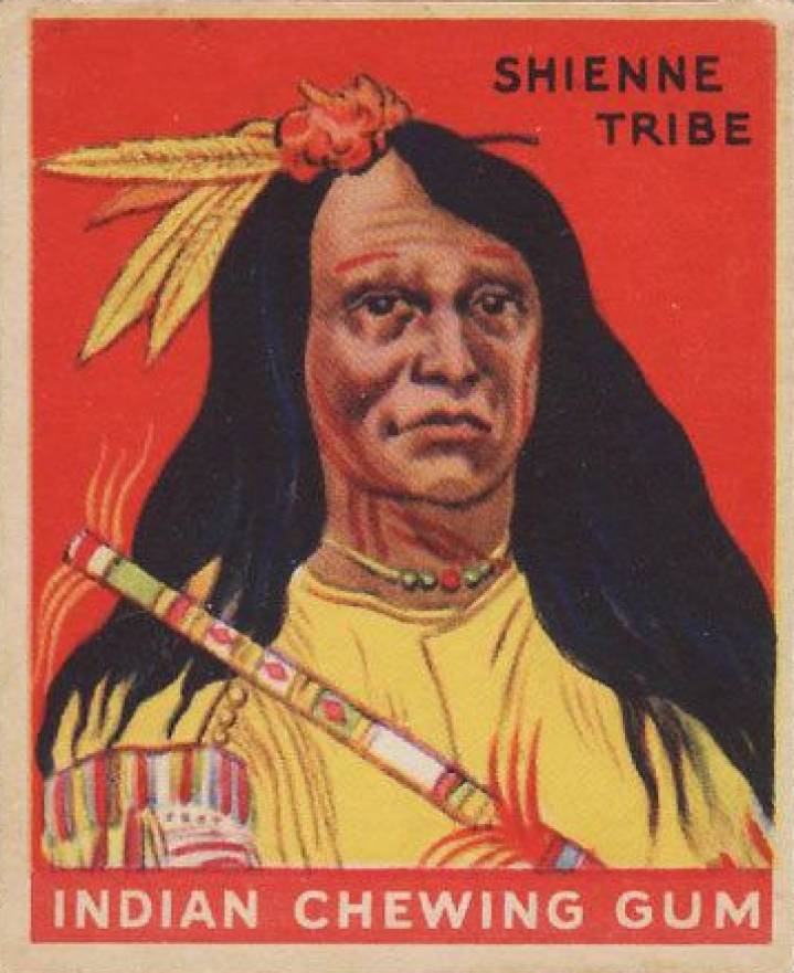 1933 Indian Gum Chief of the Shienne Tribe #110 Non-Sports Card