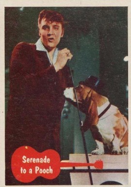 1956 Elvis Presley Serenade to a Pooch #40 Non-Sports Card