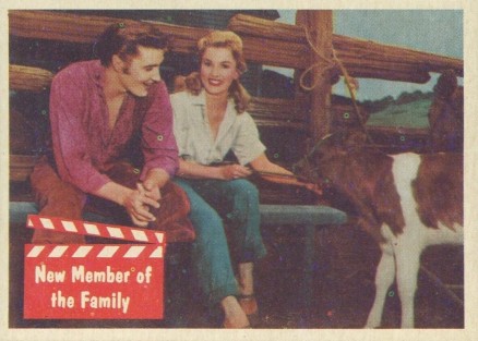 1956 Elvis Presley New Member of the Family #49 Non-Sports Card