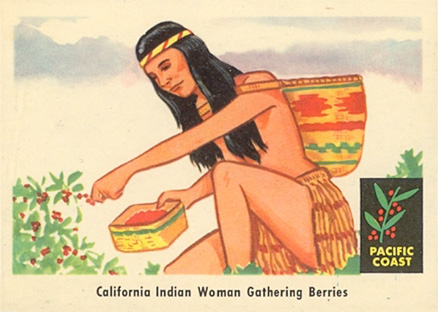 1959 Indian Trading Card California Indian Woman Gathering Berries #69 Non-Sports Card