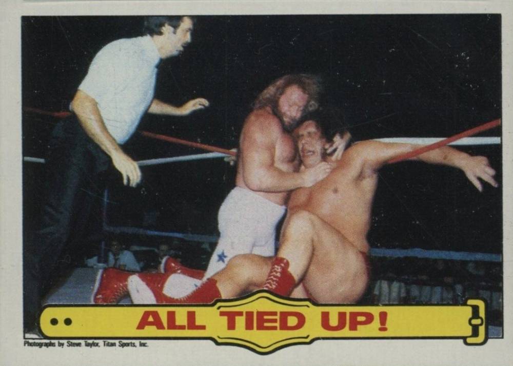 1985 Topps WWF All Tied Up! #27 Other Sports Card