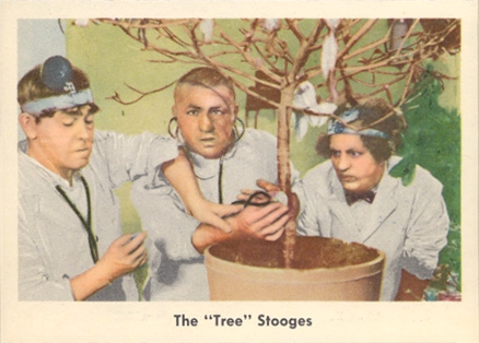1959 The 3 Stooges The "Tree" Stooges #26 Non-Sports Card