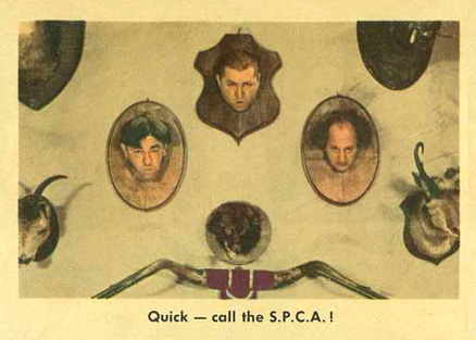 1959 The 3 Stooges Quick-Call The S.P.C.A.! #68 Non-Sports Card